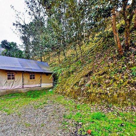 Oyo 29888 Nature Treat Hotel Chail Exterior foto