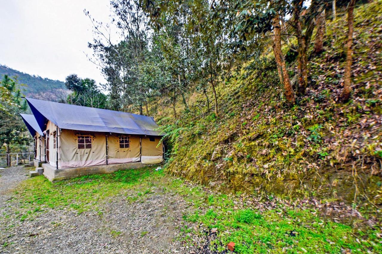 Oyo 29888 Nature Treat Hotel Chail Exterior foto